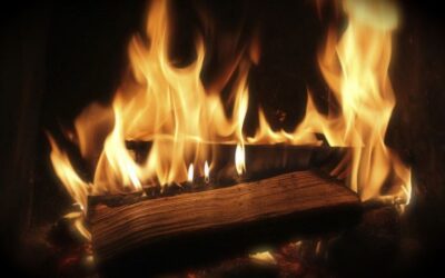 DNR News: Red Flag Warning: Delay burning today