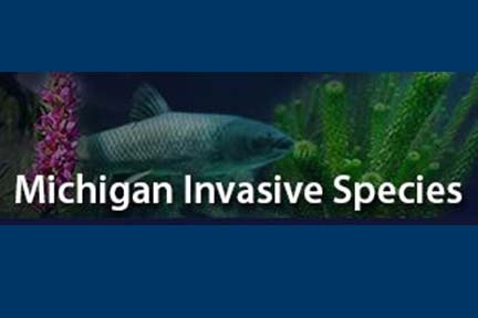 Tackling invasive species issues in upcoming webinars