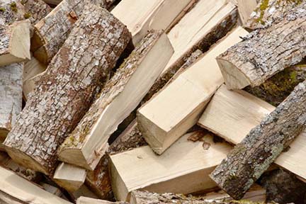 Make safe firewood choices to protect the places you love