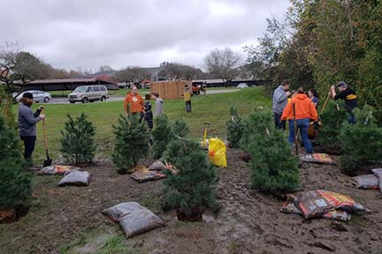 Local scout plants trees for Eagle Project