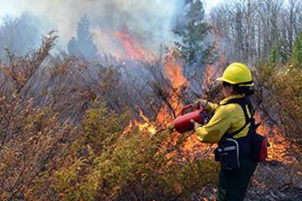 Showcasing the DNR: Prepping for spring fire season