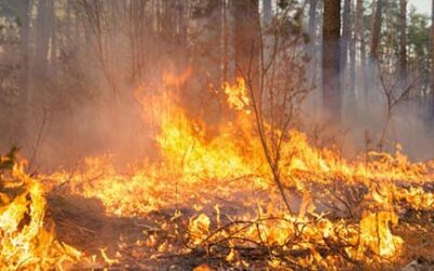 Dry weather boost fire danger across Michigan