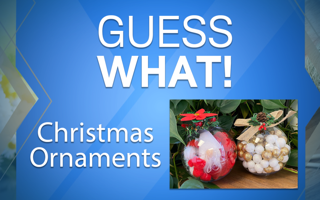 Guess What!: Christmas Ornament Crafts