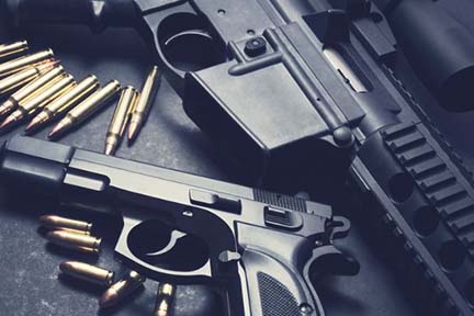 Whitmer Establishes Gun Violence Prevention Task Force