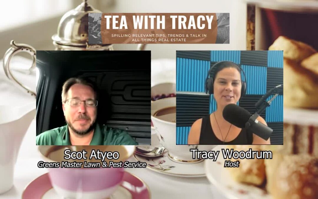 Tea with Tracy (08/09/22)