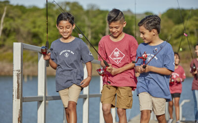 DNR News Digest – Holiday safety, fun