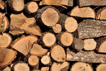 DNR: Heat with wood? It’s time to stock up