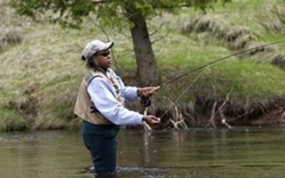 News Release: Preventing the spread of invasive species
