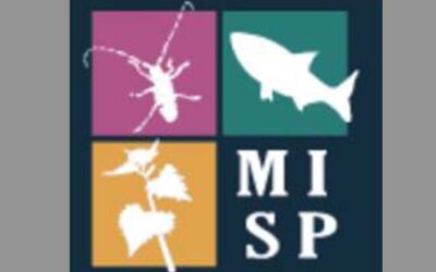Michigan marks progress against invasive species