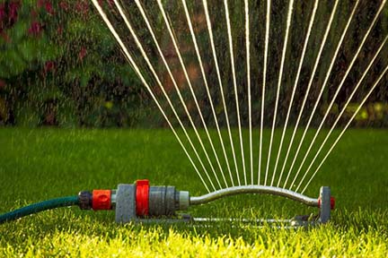 Nurturing Your Lawn During Drought Conditions