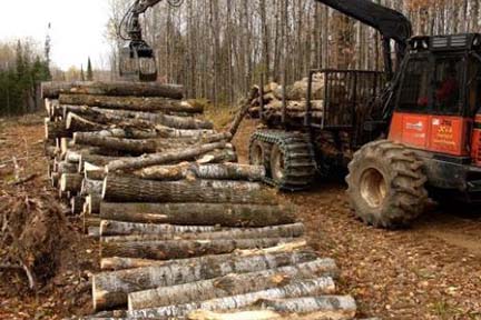 Michigan’s forest industry contributes $26 billion to economy
