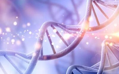 AG Nessel Issues New Consumer Alert on Genetic Testing Services