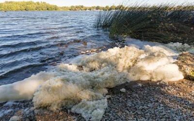 MDHHS recommends avoiding foam on surface water 
