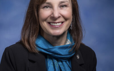 Rep. Steele Highlights Foster Care Challenges as Parents, Advocates Testify in Lansing
